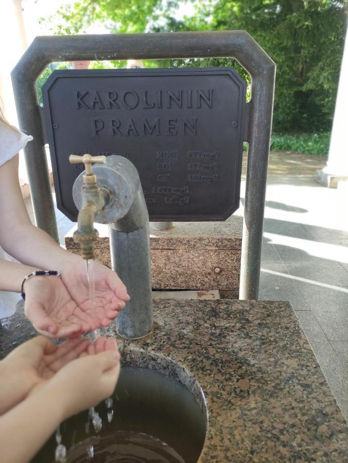 Apartman Friedrichsruh Leilighet Mariánské Lázně Eksteriør bilde